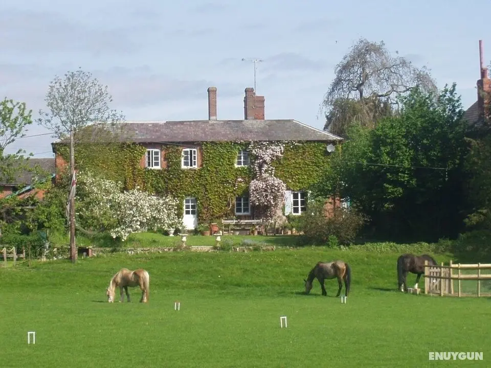 Lower Buckton Country House - Sleeps 12 - Öne Çıkan Resim