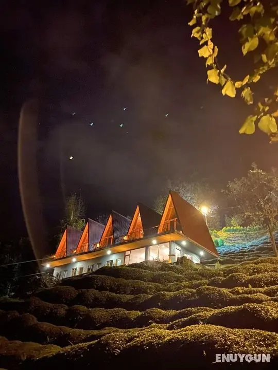 Loya Butik Otel - Bungalow - Öne Çıkan Resim