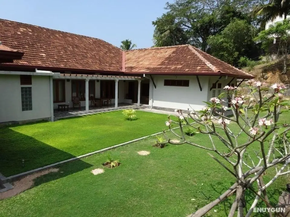Lucky Cottage - Öne Çıkan Resim