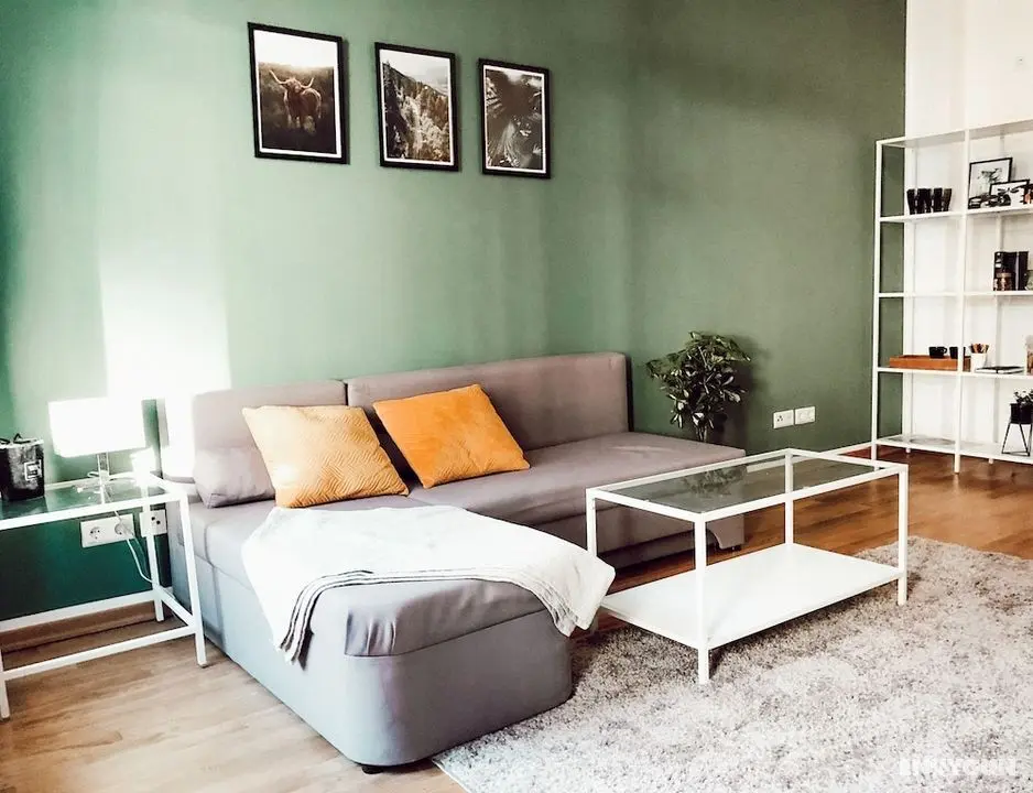 Luga Homes - Zoo - Öne Çıkan Resim