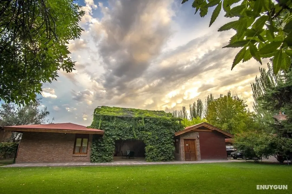 Lujan de Cuyo B&B - Öne Çıkan Resim