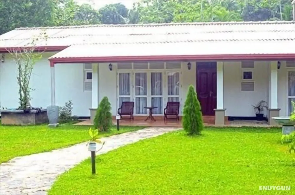 Lumbini Lagoon - Öne Çıkan Resim
