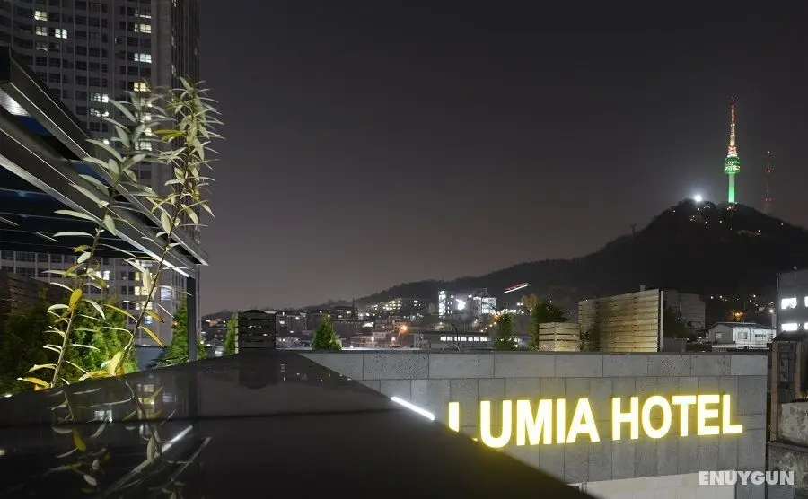 Hotel Lumia Myeongdong - Genel