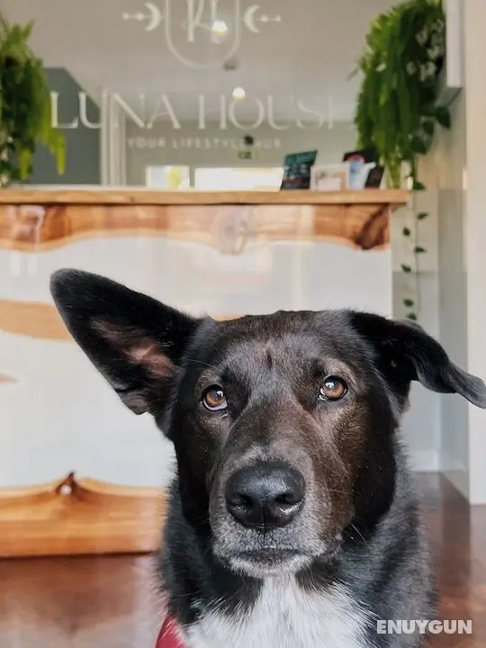 Luna House - Lobi