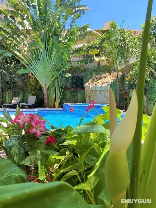 Hotel Lunasol - Öne Çıkan Resim