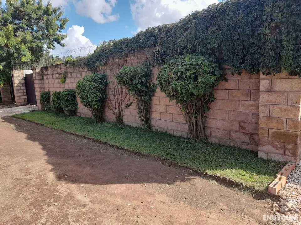 Lusaka Furnished Self Catering Apartment - Dış Mekan