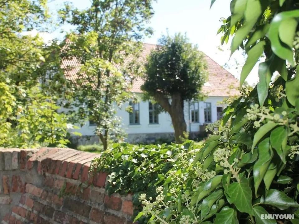 Lush Apartment in Steffenshagen With Garden - Öne Çıkan Resim