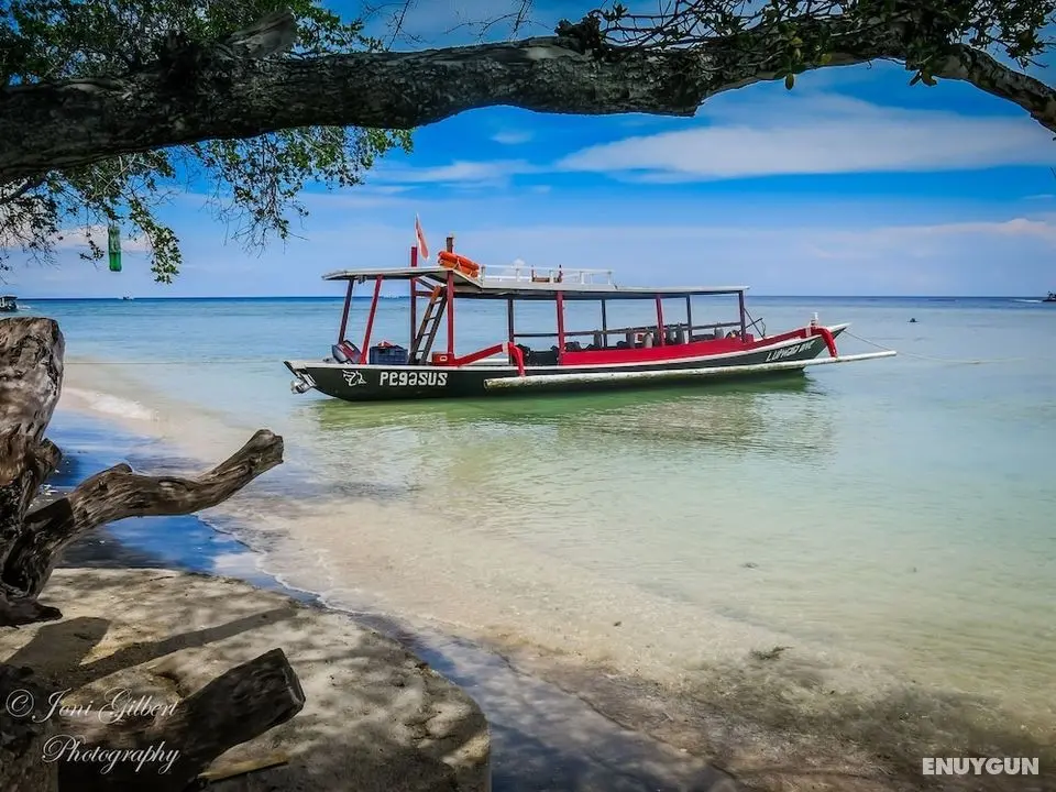 Lutwala Dive and Bungalows - Öne Çıkan Resim