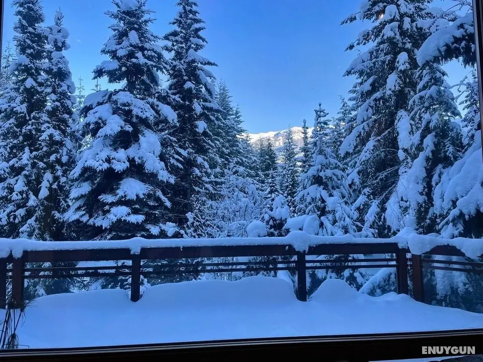 Luxury 5 Bedroom Blueberry Chalet - Öne Çıkan Resim