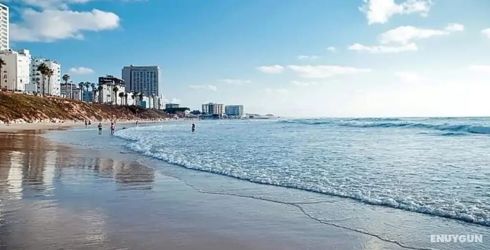 Luxury apt heart Bat-Yam 3 m walk beach - Plaj