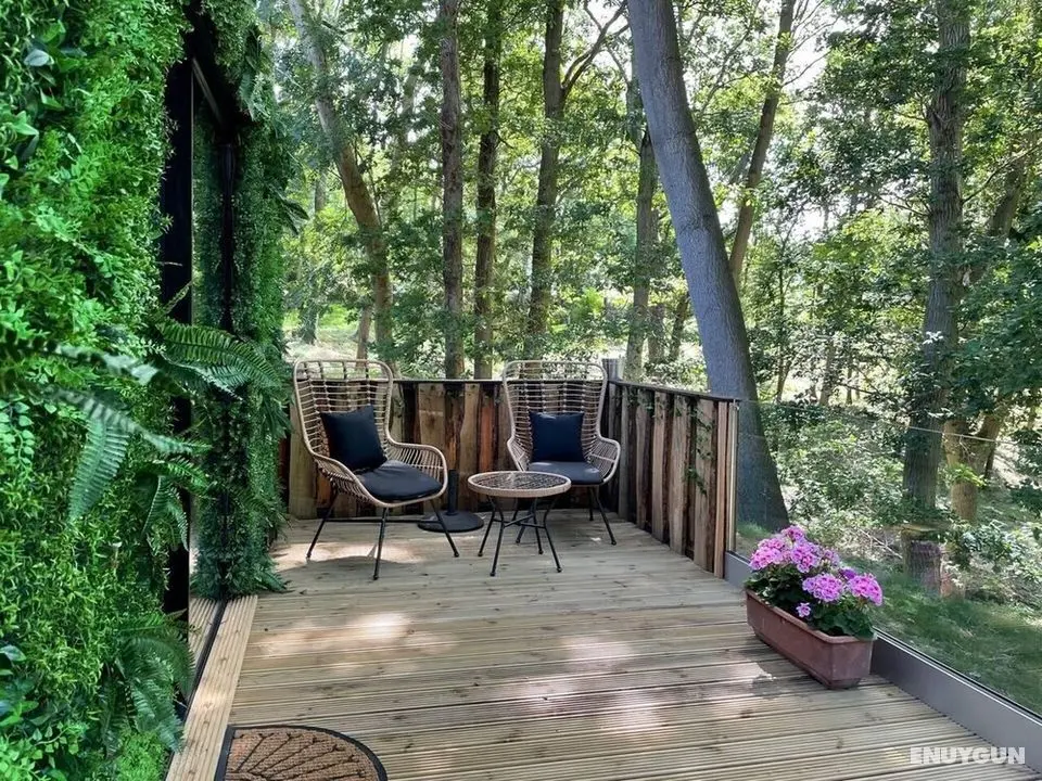 Luxury Cabin in the Woods - Dış Mekan