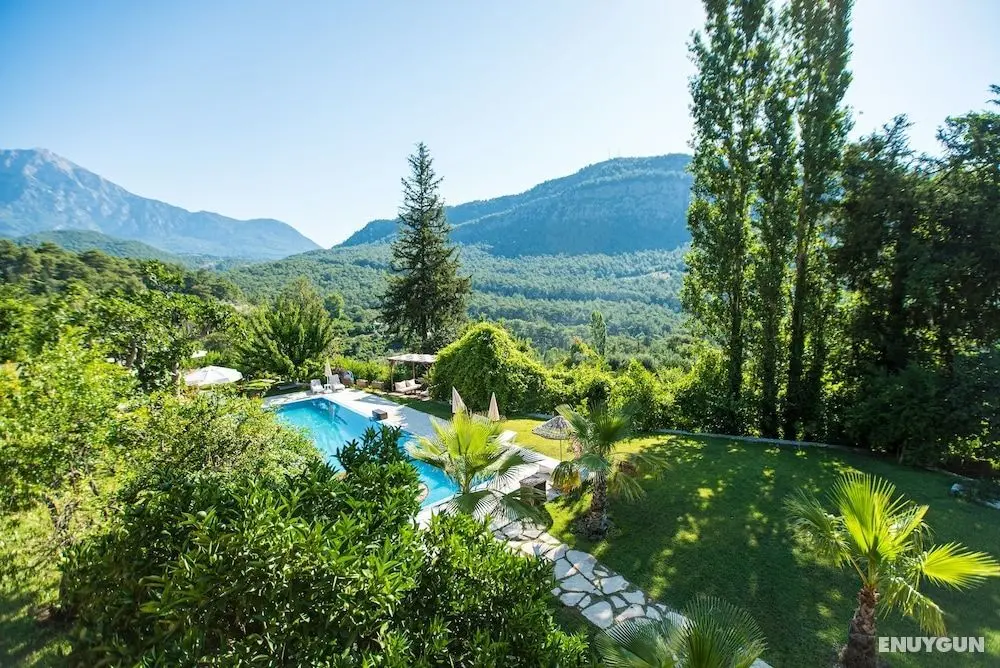 Lycia Nature House - Öne Çıkan Resim
