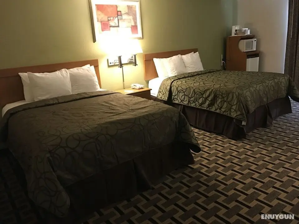 Motel In The Pines - Oda