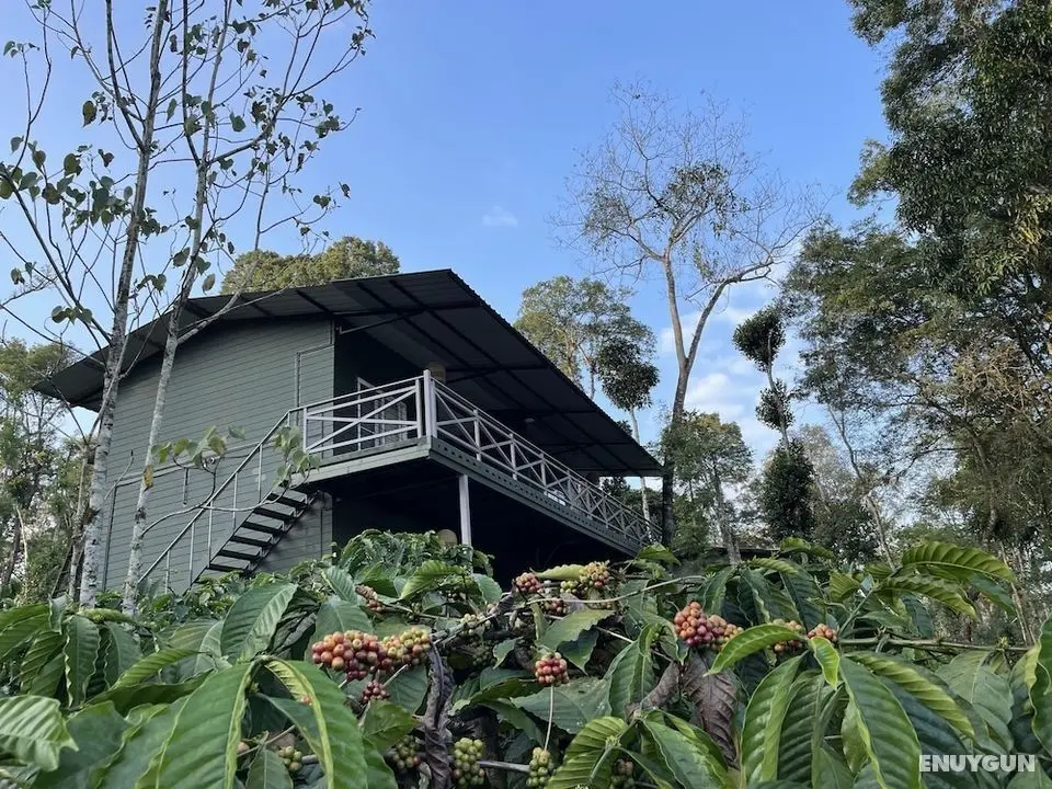 Machaan Wilderness Lodge Nagarahole - Dış Mekan