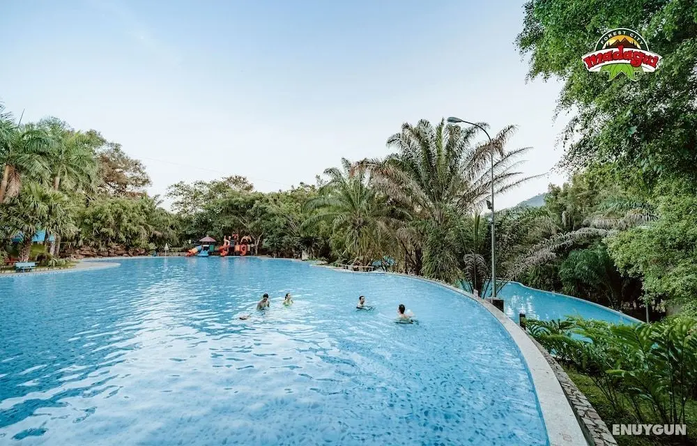 Madagui Forest City - Öne Çıkan Resim