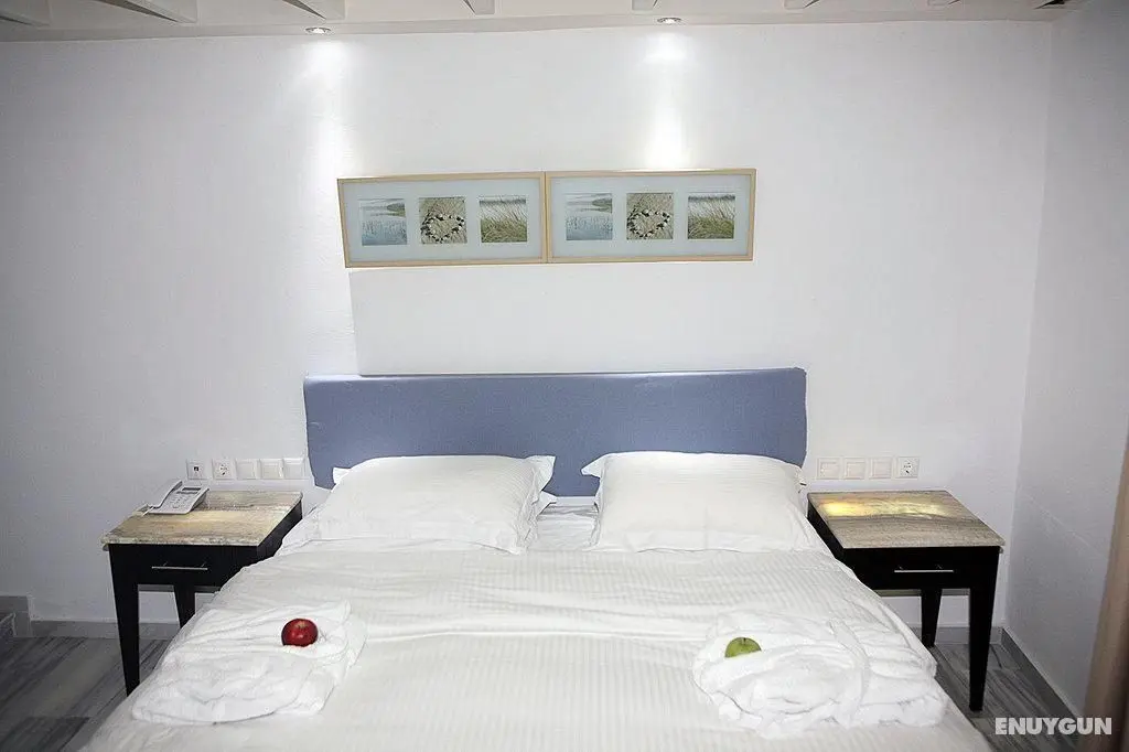 Madalena Hotel - Genel
