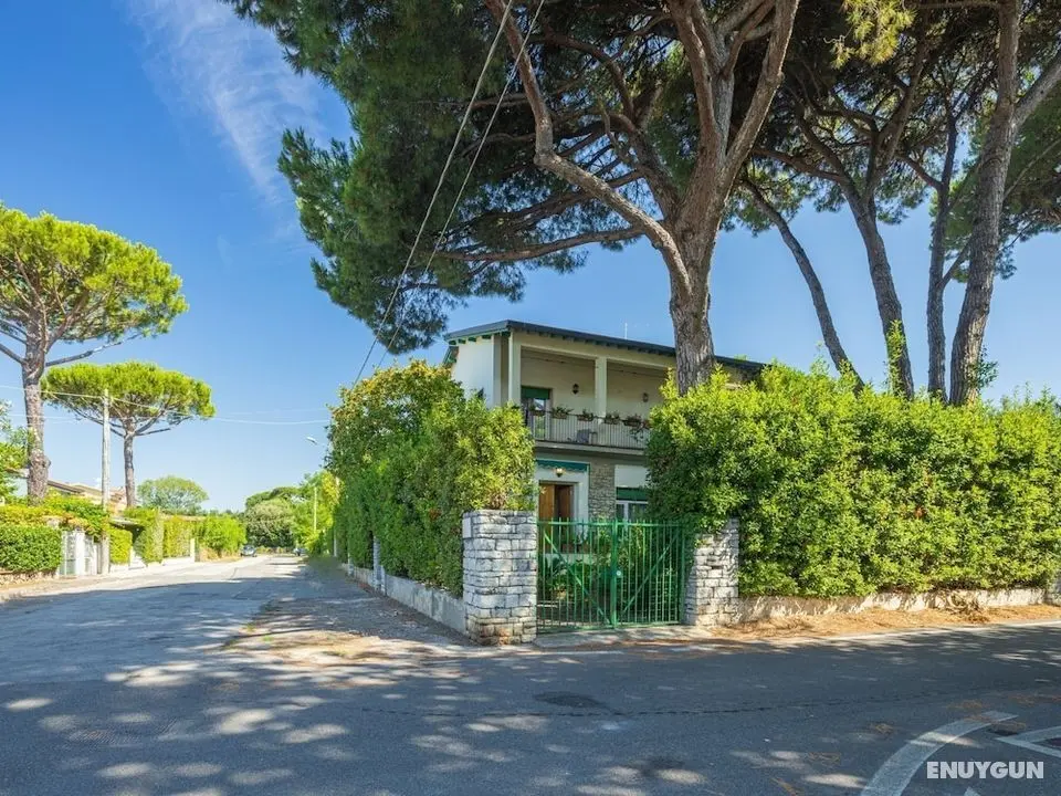 Madda Camaiore in Camaiore - Öne Çıkan Resim