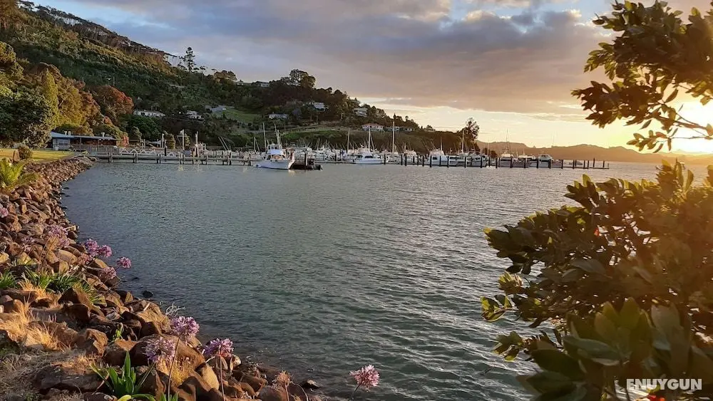 Madhuban - Waterfront in Whangaroa - Oda Manzaraları