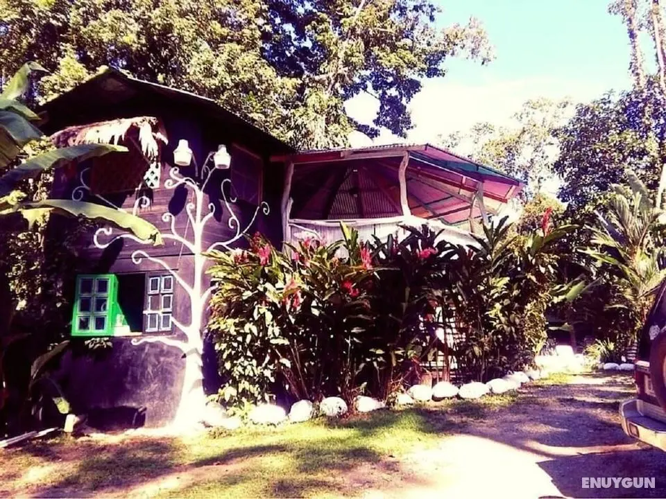 Madre Selva Jungle Hostel - Öne Çıkan Resim