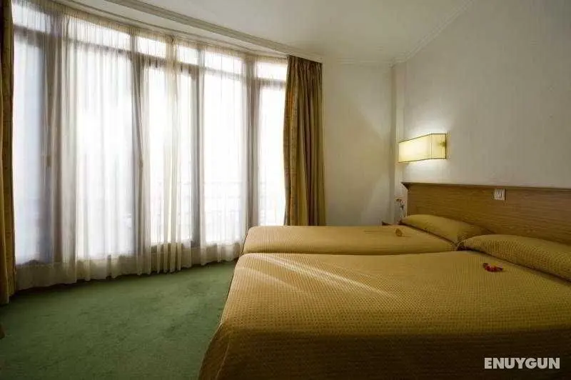 Madrisol - Genel