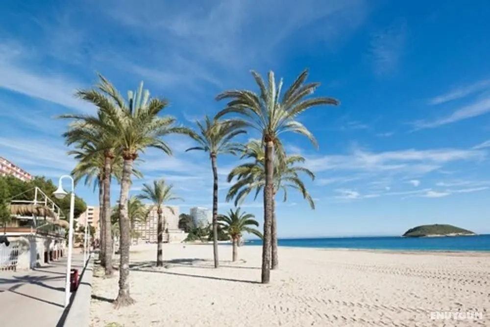 Magaluf Strip Apartments - Öne Çıkan Resim