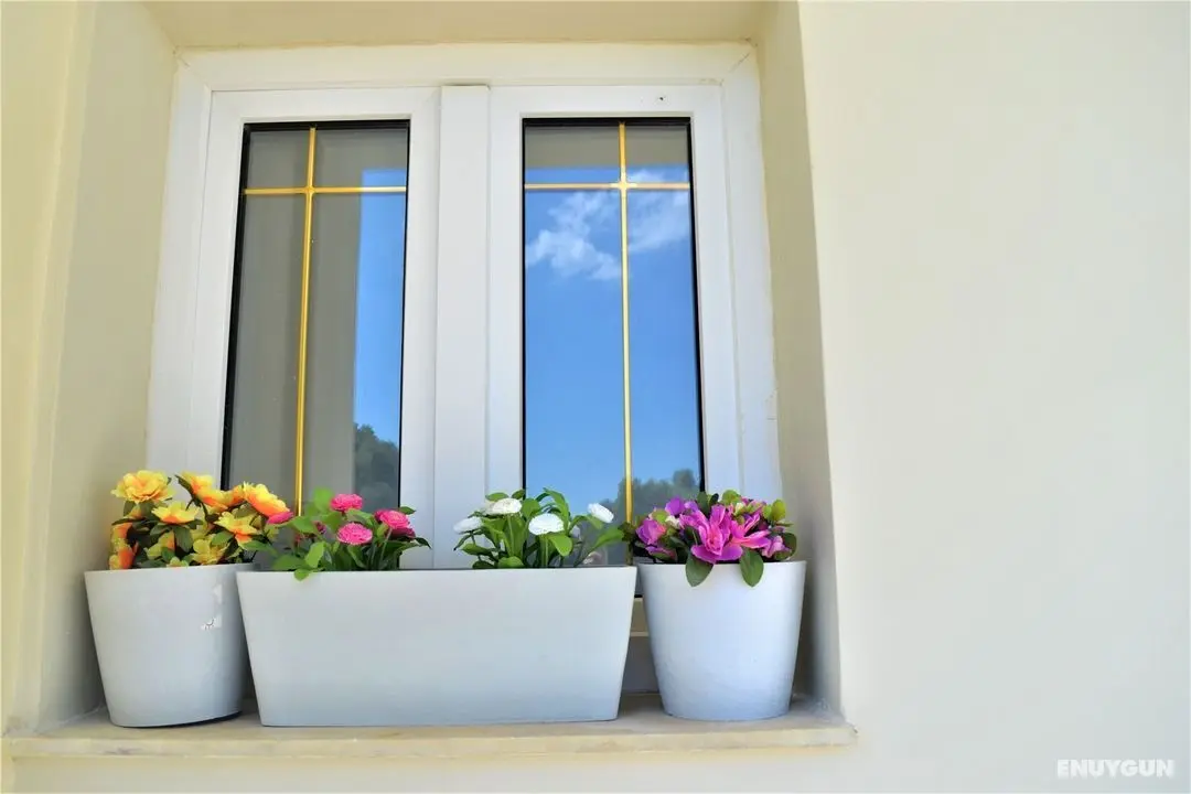 Maggana Residence - Genel