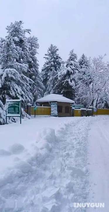 Magic Himalayan Cottage - Öne Çıkan Resim