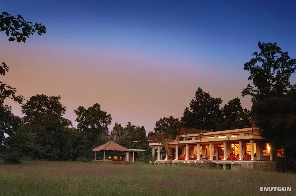 Mahua Kothi, Bandhavgarh National Park - Öne Çıkan Resim