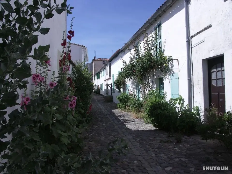 Maison Antioche - Dış Mekan