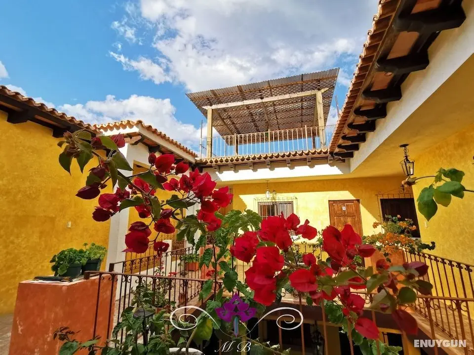 Maison Bougainvillea - Öne Çıkan Resim