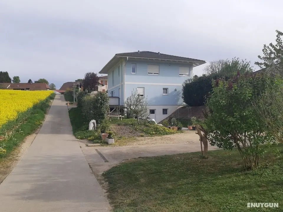 Maison d'hôte Bleu - Öne Çıkan Resim