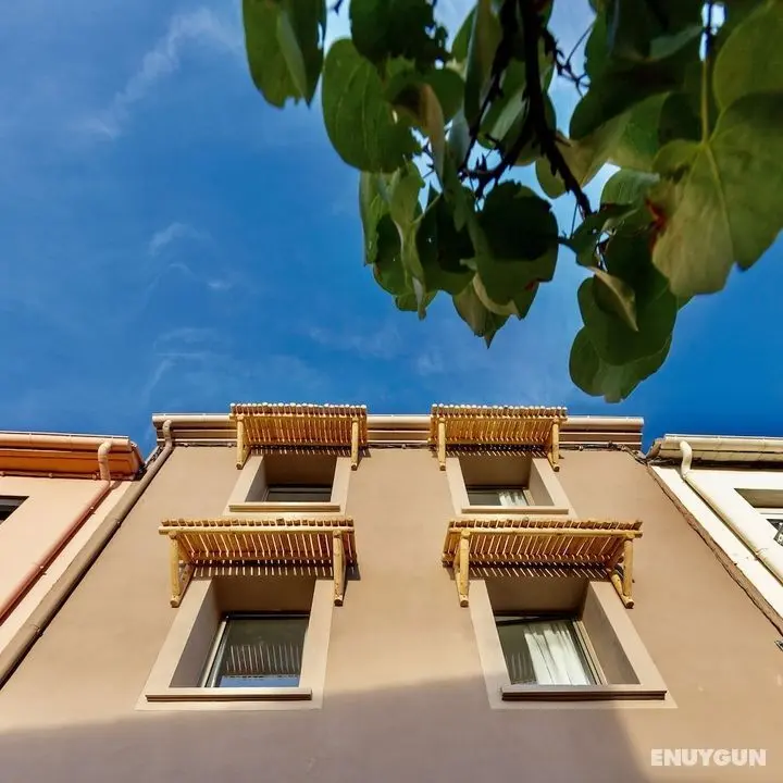 Maison Le S - Dış Mekan