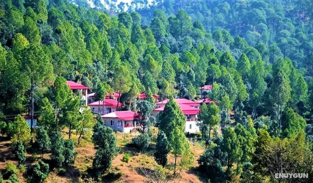 Majkhali Woods, Ranikhet, By Himalayan Eco Lodges - Öne Çıkan Resim