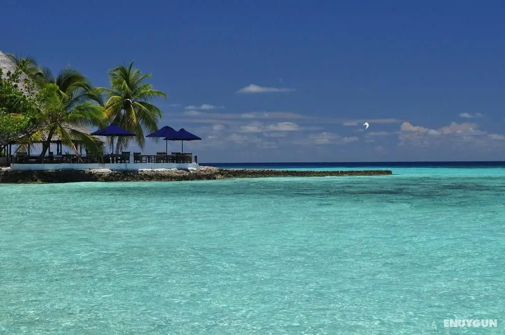 Makunudu Island Resort - Genel