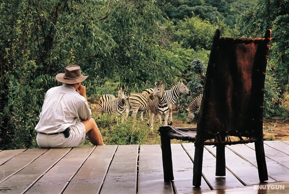 Makweti Safari Lodge - Öne Çıkan Resim