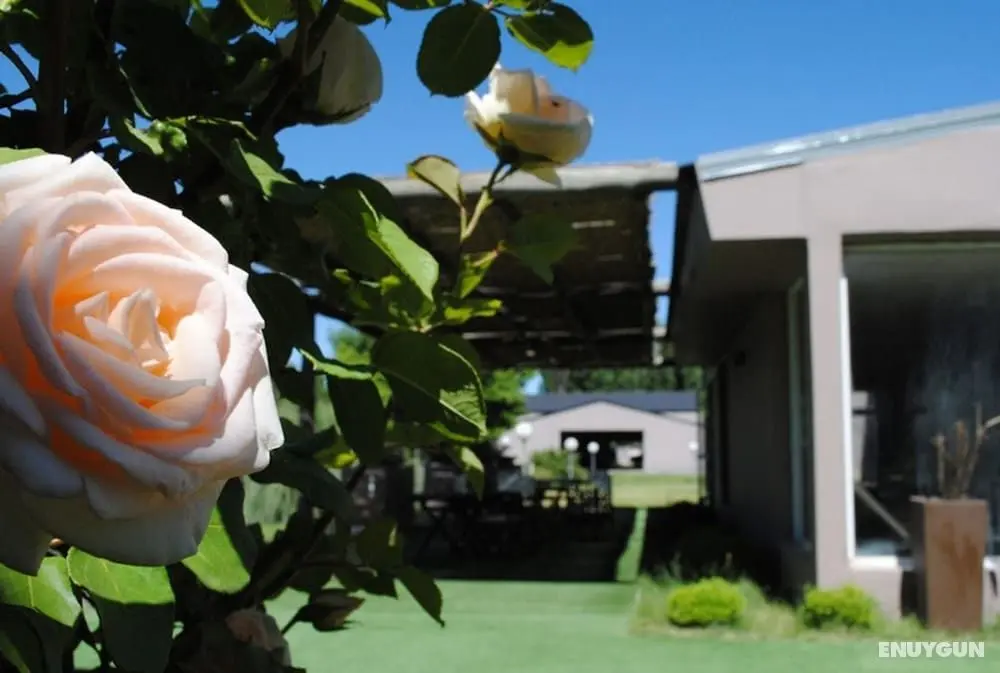 Hotel Malargüe Inn & Suites - Spa Casino - Dış Mekan