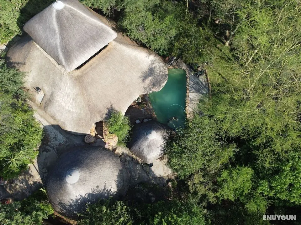 Mali Mali Safari Lodge - Öne Çıkan Resim