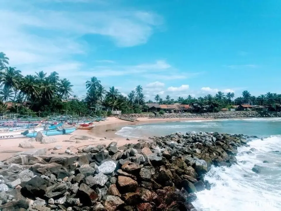 Malika's Yellow House - Havuz