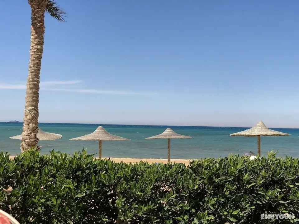 Manara Beachfront Chalet - Öne Çıkan Resim