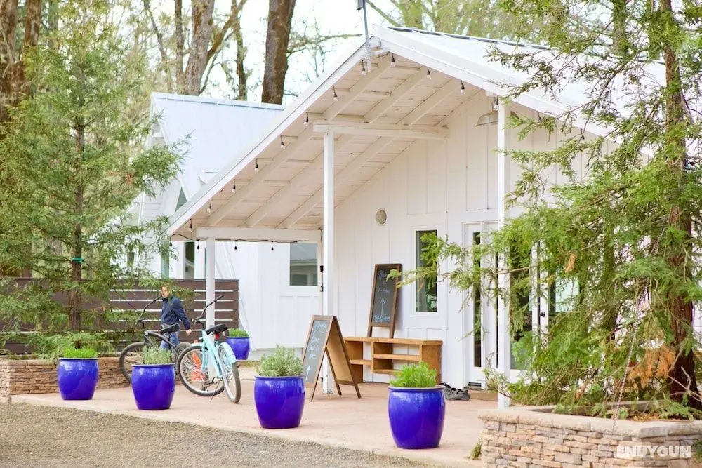 Mandala Springs Wellness Retreat Center - Öne Çıkan Resim