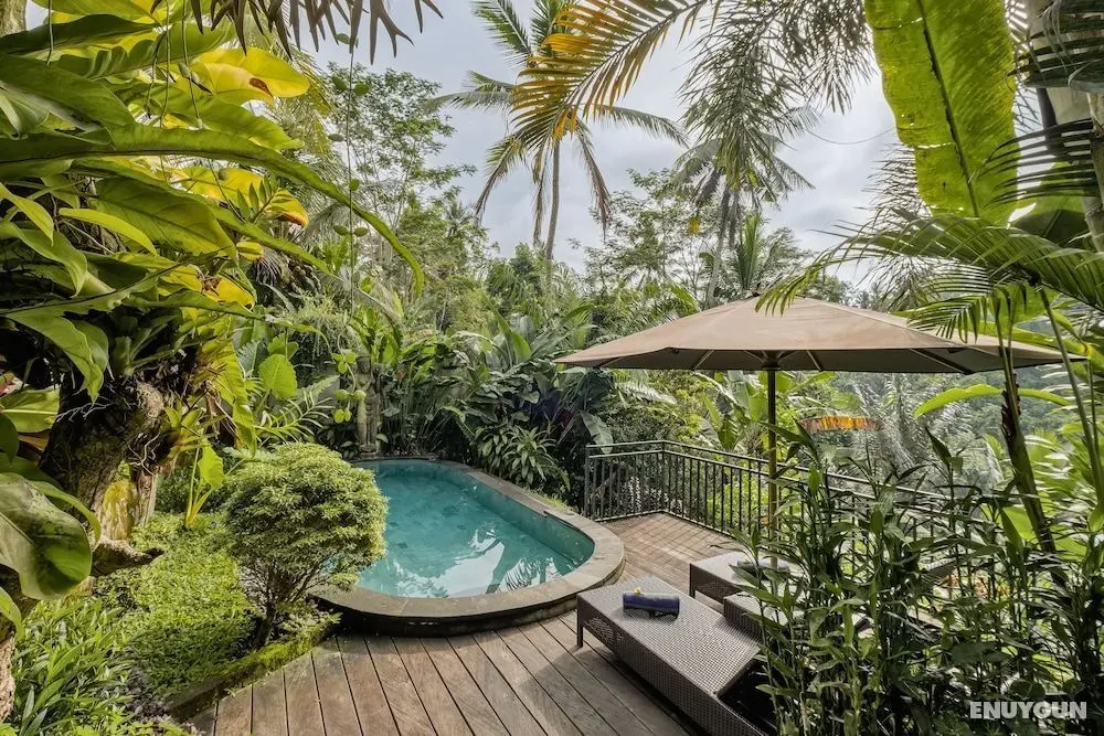 Mandana Ubud Villa - Öne Çıkan Resim