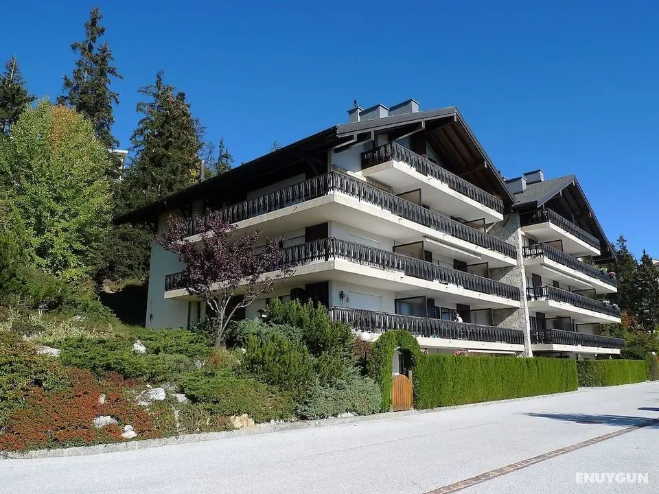 Mandarin Crans-montana - Öne Çıkan Resim