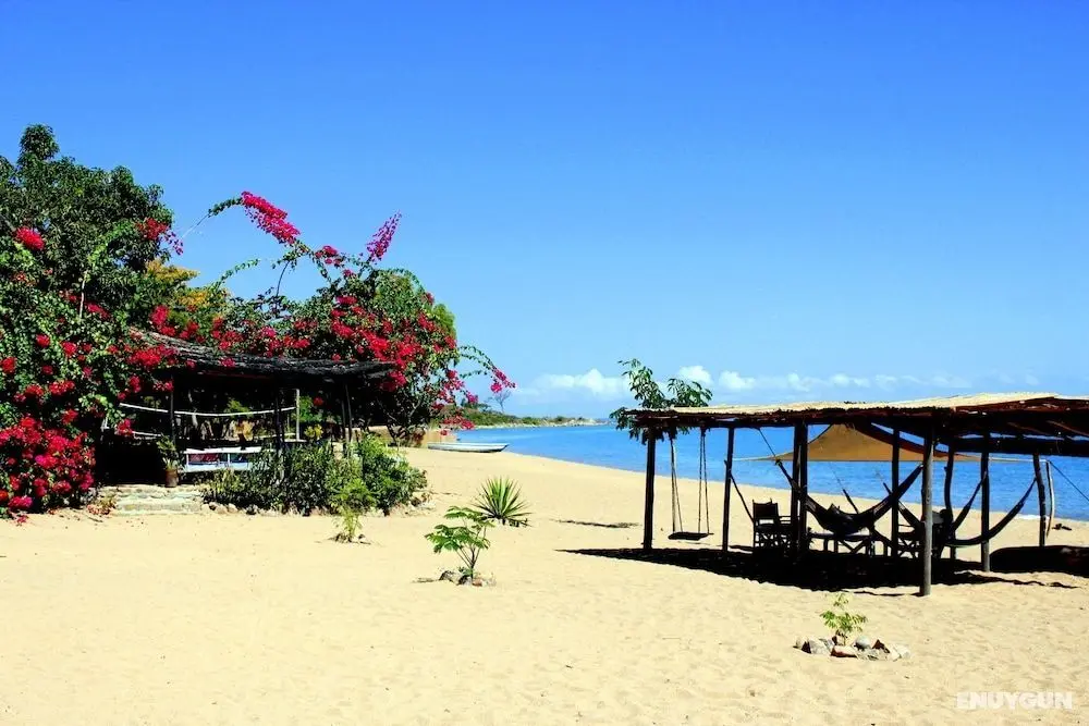 Mango Drift Lodge - Hostel - Öne Çıkan Resim