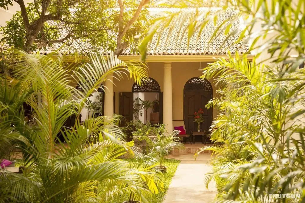 Mango House - Genel