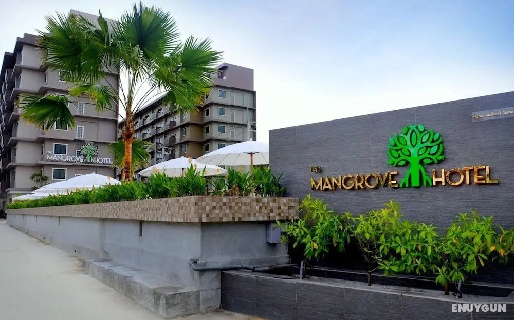 The Mangrove Hotel - Öne Çıkan Resim