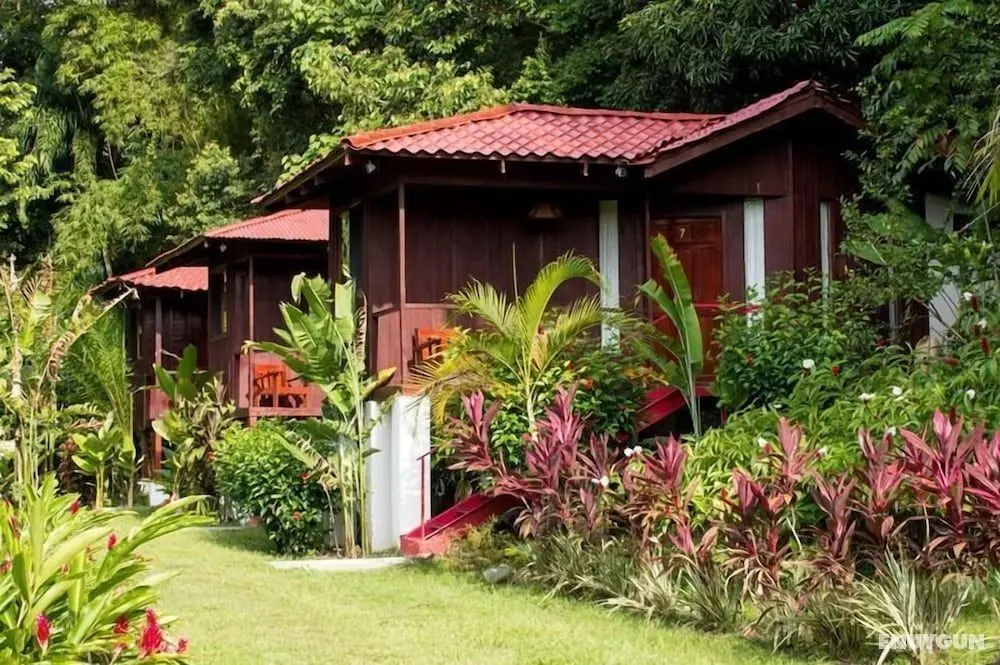 Manuel Antonio Hostel Resort - Öne Çıkan Resim