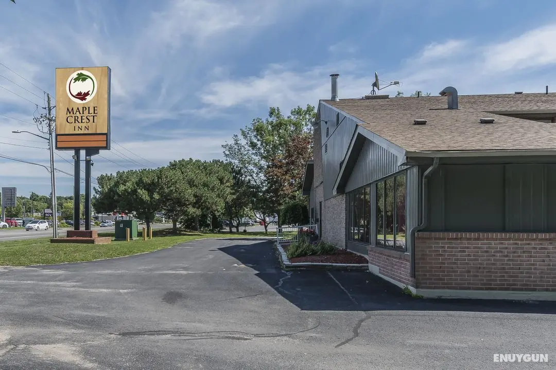 Maple Crest Inn - Genel
