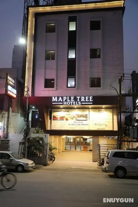 Maple Tree Hotels - Öne Çıkan Resim