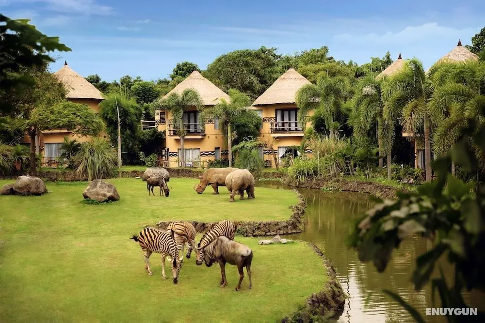 Mara River Safari Lodge - CHSE Certified - Öne Çıkan Resim