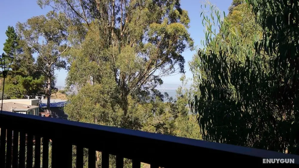 Marbella Lane Eco Friendly Treehouse SFO - Dış Mekan